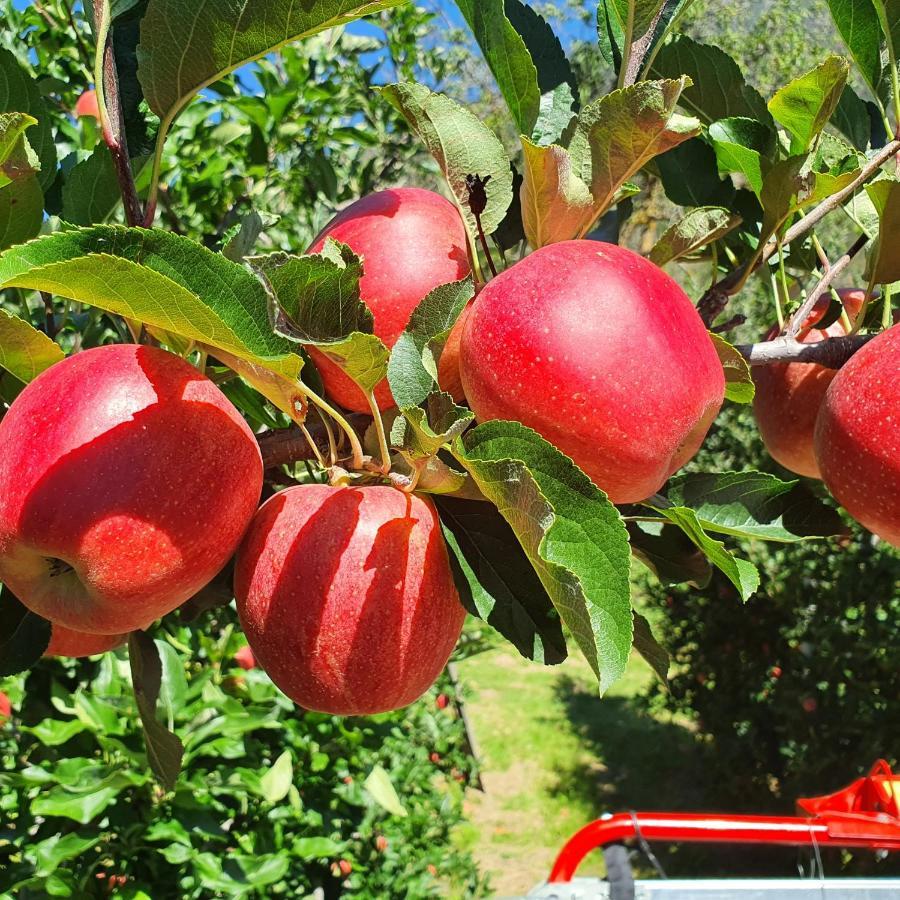 Mareinhof Vetzan-Apples,Apartment&More سيلاندرو المظهر الخارجي الصورة